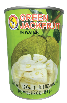 Can tas green jackfruit