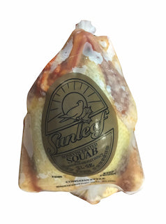 squab / pigeon 24 pcs