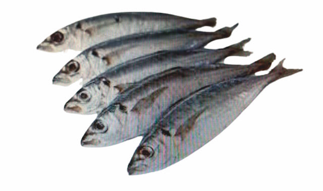 Round Scad (Ca Nuc) Size 200-300; 33 lbs