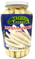 Rattan Shoot L in water