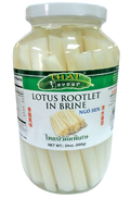 PK Lotus Rootlet (Ngo sen) in brine in Jar