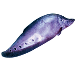 Fro Feather back fish
(pla kai)