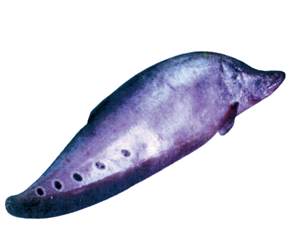 Fro Feather back fish
(pla kai)