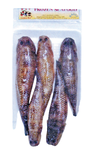 GB Fro Sand Goby Fish
‘Ca Bong Cat’