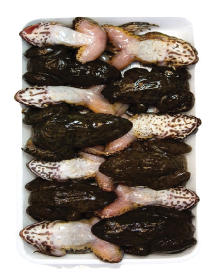 House Fro Seafood “BFG’
Cap Kieu