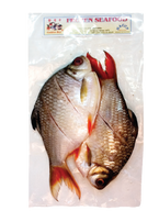 Golden Boy Fro Red Tail
Fish Clean Slice (Ca He)