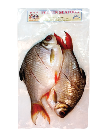 Golden Boy Fro Red Tail
Fish Clean Slice (Ca He)