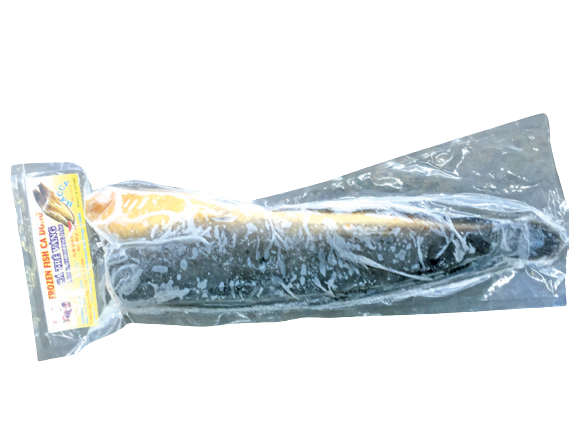 Fro big yellow cat fish
H/Less 800 up
