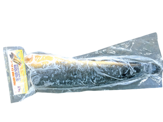 Fro big yellow cat fish
H/Less 800 up