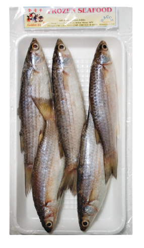Golden Boy Fro Grey
Mullet Fish ‘Ca Doi’