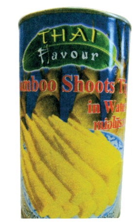 Can B/B Shoot Tip (L)