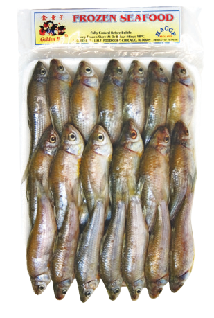 GB Fro Lady Carp Fish
‘Ca Linh’