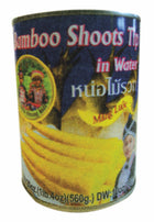 Can B/B Shoot Tip (S)