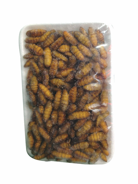 Dale Chrysalis  Nhong Dong