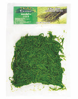 Thai flavour fro Cha-om leaves in Pkg TL
