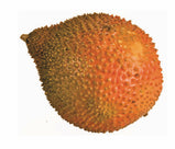 Fro Red Jackfruit (Trai Gac)