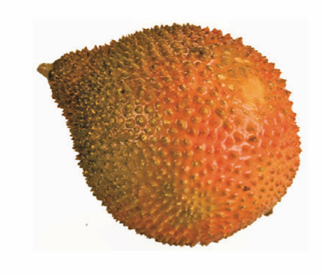Fro Red Jackfruit (Trai Gac)