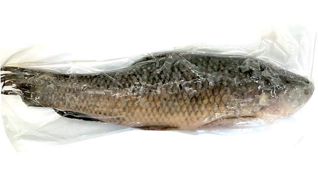 Fro Labeo Rohita Tohu fish800/1000 up