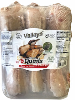 quail 6x6 pcs